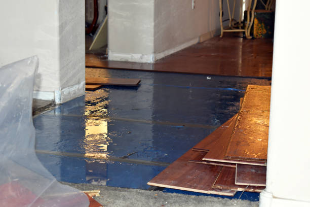 Professional Emergency Water Damage Restoration technician working in Burtonsville, MD